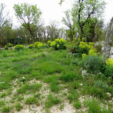 Apartments Dumic Crikvenica Dış mekan fotoğraf
