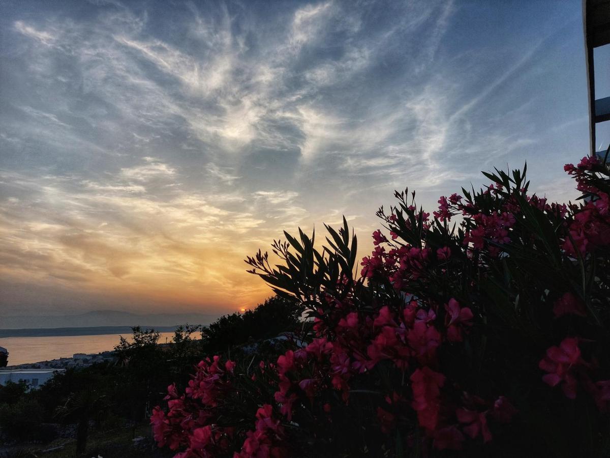 Apartments Dumic Crikvenica Dış mekan fotoğraf